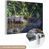 MuchoWow® Peinture sur verre 180x120 cm - Peinture sur verre - Bain d'oiseaux - Moineau - Water - Photo sur verre acrylique - Peintures