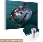 MuchoWow® Glasschilderij 120x80 cm - Schilderij acrylglas - Haai - Wit - Water - Foto op glas - Schilderijen