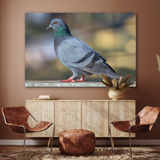 MuchoWow® Peinture sur verre 150x100 cm - Peinture sur verre acrylique - Duif - Vogel - Clôture - Photo sur verre - Peintures