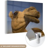 MuchoWow® Glasschilderij 120x80 cm - Schilderij acrylglas - Zij-aanzicht van het hoofd van de kameel - Foto op glas - Schilderijen
