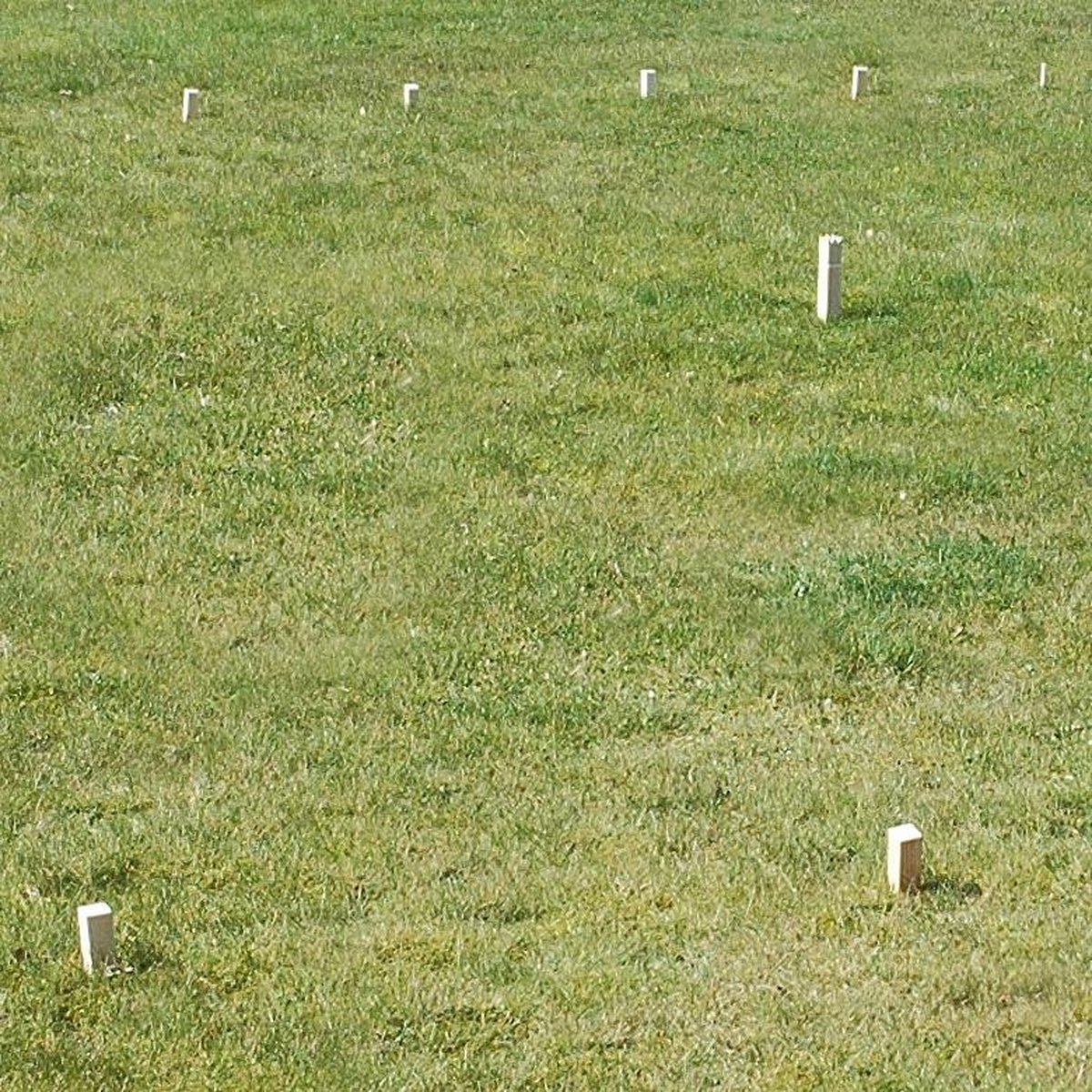 GOKI KUBB - Vikingschaakspel - Beukenhout - In Katoenen Zakje - 5 Jaar — afbeelding 3