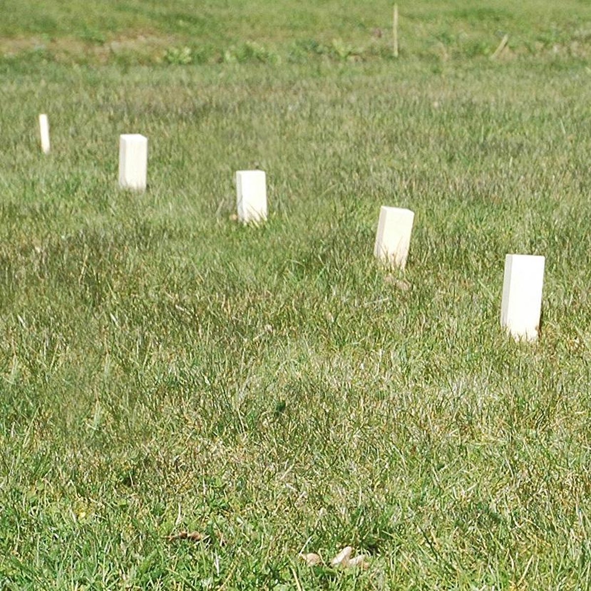 GOKI KUBB - Vikingschaakspel - Beukenhout - In Katoenen Zakje - 5 Jaar — afbeelding 9