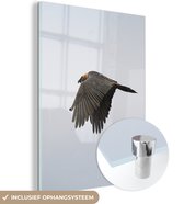 MuchoWow® Glasschilderij 90x120 cm - Schilderij acrylglas - Lammergier met omlaag gerichte vleugels - Foto op glas - Schilderijen