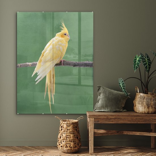 MuchoWow® Peinture sur verre - Calopsitte jaune sur un bâton - 90x120 cm - Peintures sur verre acrylique - Photo sur Glas