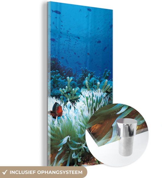 MuchoWow® Glasschilderij 20x40 cm - Schilderij acrylglas - Onderwaterwereld met clownvissen - Foto op glas - Schilderijen