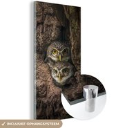 MuchoWow® Glasschilderij 40x80 cm - Schilderij acrylglas - Uilen in een boom - Foto op glas - Schilderijen