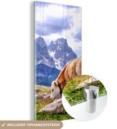 MuchoWow® Glasschilderij 20x40 cm - Schilderij acrylglas - Koe - Stenen - Berg - Foto op glas - Schilderijen