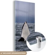 MuchoWow® Glasschilderij 40x80 cm - Schilderij acrylglas - Orka boven water - Foto op glas - Schilderijen