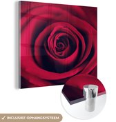 MuchoWow® Glasschilderij 50x50 cm - Schilderij acrylglas - Rozen - Rood - Bloemen - Foto op glas - Schilderijen