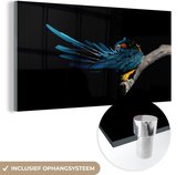 MuchoWow® Glasschilderij 160x80 cm - Schilderij acrylglas - Vogel - Veren - Tak - Zwart - Foto op glas - Schilderijen
