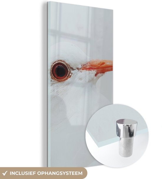 MuchoWow® Glasschilderij 60x120 cm - Schilderij acrylglas - Close-up van een witte duif - Foto op glas - Schilderijen
