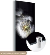 MuchoWow® Glasschilderij 60x120 cm - Schilderij acrylglas - Een stuifbloem op een zwarte achtergrond - Foto op glas - Schilderijen