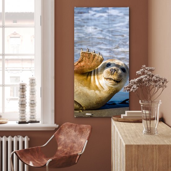 MuchoWow® Peinture sur Verre - Sceau - Drôle - Ondulation - 60x120 cm - Peintures sur Verre Peintures - Photo sur Glas
