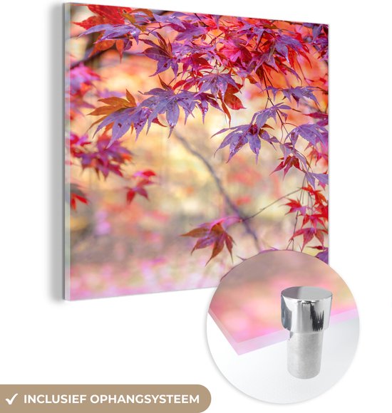 MuchoWow® Glasschilderij 20x20 cm - Schilderij acrylglas - Japanse esdoorn met rode bladeren - Foto op glas - Schilderijen