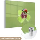 MuchoWow® Glasschilderij 30x20 cm - Schilderij acrylglas - Lieveheersbeestje op klaver - Foto op glas - Schilderijen