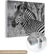 MuchoWow® Glasschilderij 120x90 cm - Schilderij acrylglas - Zebra portret - Foto op glas - Schilderijen