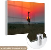 MuchoWow® Glasschilderij 60x40 cm - Schilderij acrylglas - Giraffe - Zon - Lucht - Foto op glas - Schilderijen