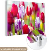 MuchoWow® Glasschilderij 150x100 cm - Schilderij acrylglas - Close-up van gekleurde tulpen - Foto op glas - Schilderijen
