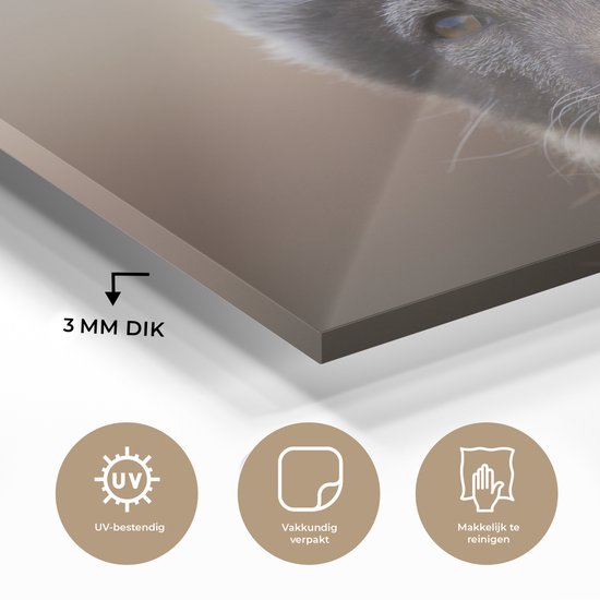 MuchoWow® Glasschilderij 30x20 cm - Schilderij acrylglas - Vos - Welp - Vacht - Foto op glas - Schilderijen