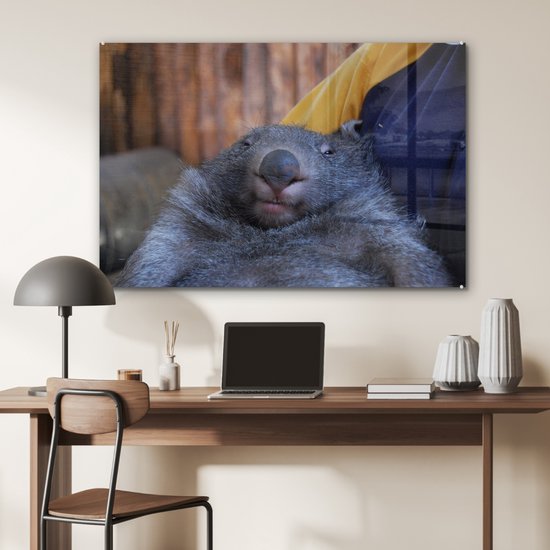 MuchoWow® Peinture sur verre 120x80 cm - Peinture sur verre acrylique - Gros plan wombat endormi - Photo sur verre - Peintures