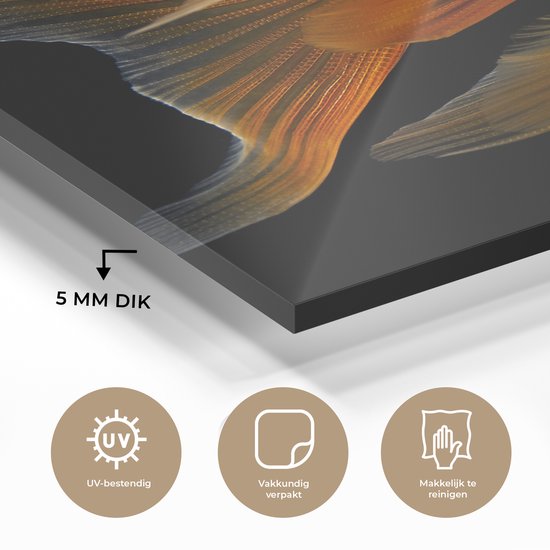 MuchoWow® Peinture sur verre 60x80 cm - Peinture sur verre acrylique - Poisson rouge - Animaux - Zwart - Photo sur verre - Peintures