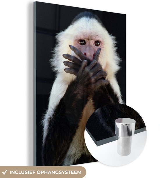 MuchoWow® Glasschilderij 60x80 cm - Schilderij acrylglas - Aap - Wilde dieren - Portret - Foto op glas - Schilderijen