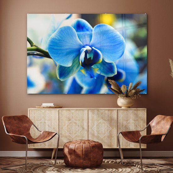 Peinture sur verre - Gros plan d'une orchidée bleue avec un arrière-plan flou - 180x120 cm - Peintures sur Verre Peintures - Photo sur Glas
