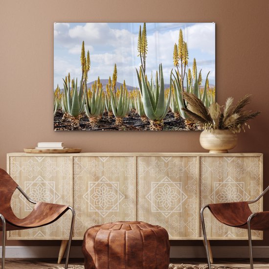 MuchoWow® Peinture sur verre 120x80 cm - Peinture sur verre acrylique - Plantes médicinales d'aloe vera sur Fuerteventura - Photo sur verre - Peintures