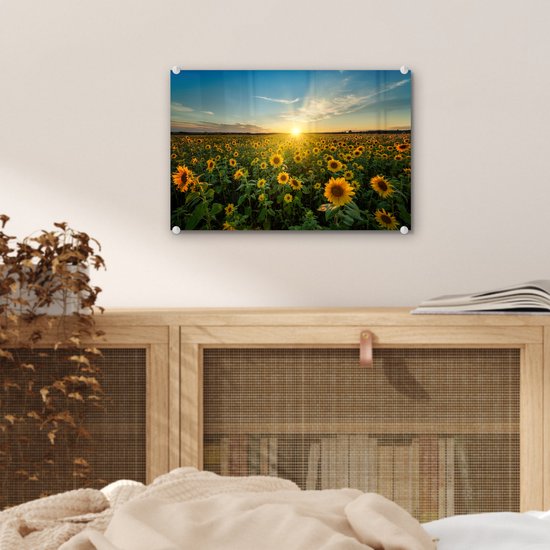 Peinture sur verre - Décoration murale - Fleurs - Tournesol - Jaune - Ciel - Peinture sur verre - Photo sur verre - Peinture fleurs - Verre acrylique - 30x20 cm - Décoration murale