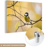 MuchoWow - Glasschilderij - Vogel - Koolmees - Geel - Takken - Blad - Acrylglas - Foto op glas - 30x20 cm - Glasschilderij vogels - Wanddecoratie - Glasschilderij natuur