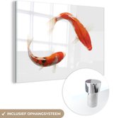 Plexiglas carpe Koi 60x40 cm - Tirage photo sur Glas (Décoration murale en plexiglas)
