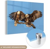 MuchoWow - Glasschilderij - Vogel - Takken - Arend - Roofvogels - Lucht - Acrylglas - Foto op glas - 30x20 cm - Wanddecoratie - Glasschilderij natuur - Glasschilderij vogels