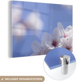 MuchoWow® Glasschilderij 60x40 cm - Schilderij acrylglas - Bloesem - Bloemen - Lente - Foto op glas - Schilderijen