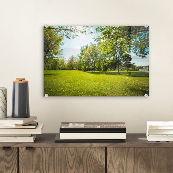 MuchoWow® Peinture sur verre 30x20 cm - Peinture sur verre acrylique - Les arbres verts dans un parc - Photo sur verre - Peintures