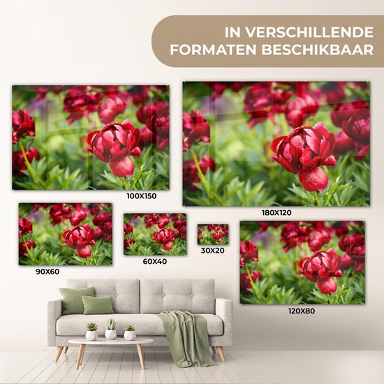 MuchoWow® Peinture sur verre 60x40 cm - Peinture sur verre acrylique - Un jardin rempli de pivoines rouges - Photo sur verre - Peintures