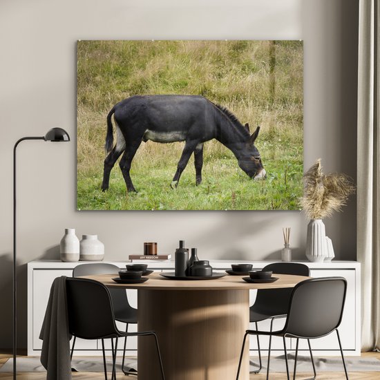 MuchoWow® Peinture sur verre - Âne au pâturage - 120x90 cm - Peintures sur verre acrylique - Photo sur Glas