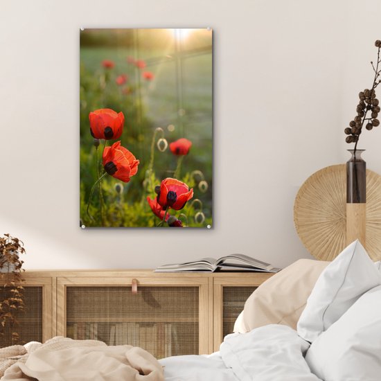 Coquelicots au soleil couchant plexiglas 40x60 cm - Tirage photo sur Glas (Décoration murale en plexiglas)
