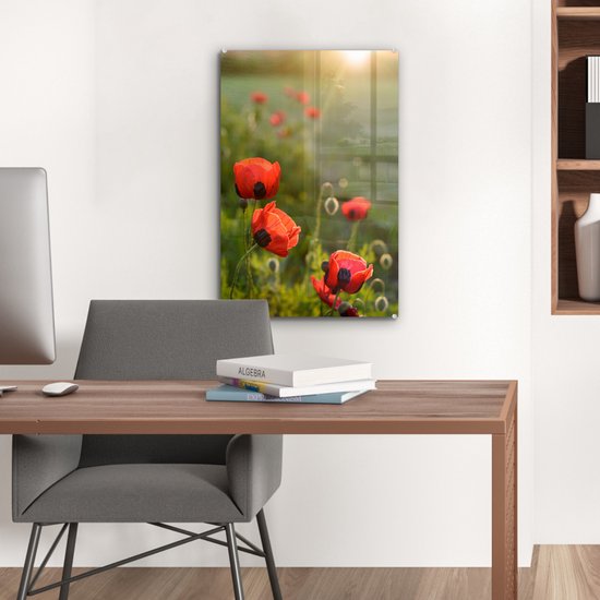 Coquelicots au soleil couchant plexiglas 40x60 cm - Tirage photo sur Glas (Décoration murale en plexiglas)