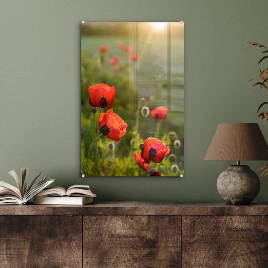Coquelicots au soleil couchant plexiglas 40x60 cm - Tirage photo sur Glas (Décoration murale en plexiglas)