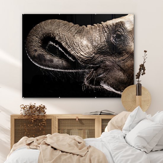 MuchoWow® Peinture sur verre 120x90 cm - Peinture sur verre acrylique - Éléphant - Animaux - Zwart - Nature - Photo sur verre - Peintures