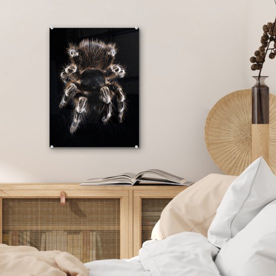 MuchoWow® Peinture sur verre 30x40 cm - Peinture acrylique sur verre - Une tarentule - Photo sur verre - Peintures