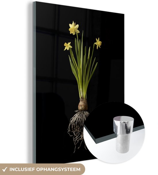 MuchoWow® Glasschilderij 30x40 cm - Schilderij acrylglas - Een gele narcis op een zwarte achtergrond - Foto op glas - Schilderijen