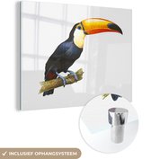 Peinture sur verre - un toucan sur une branche fine - 160x120 cm - Peintures sur Verre Peintures - Photo sur Glas