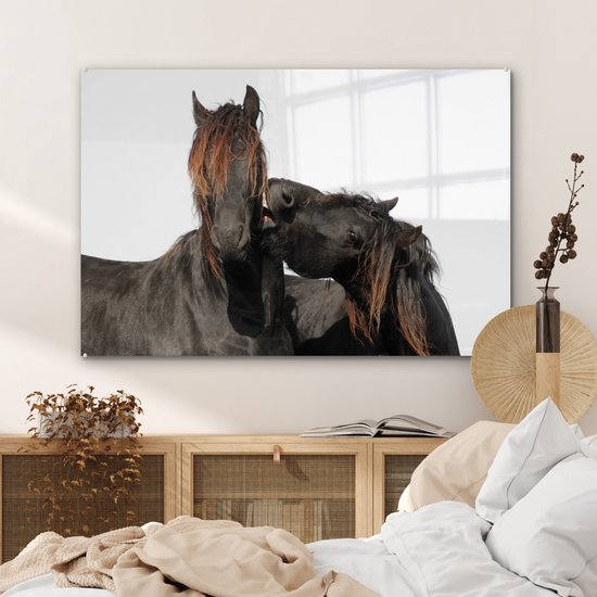 MuchoWow® Peinture sur Verre - Paarden - Fourrure - Wit - 120x80 cm - Peintures sur Verre Acrylique - Photo sur Glas