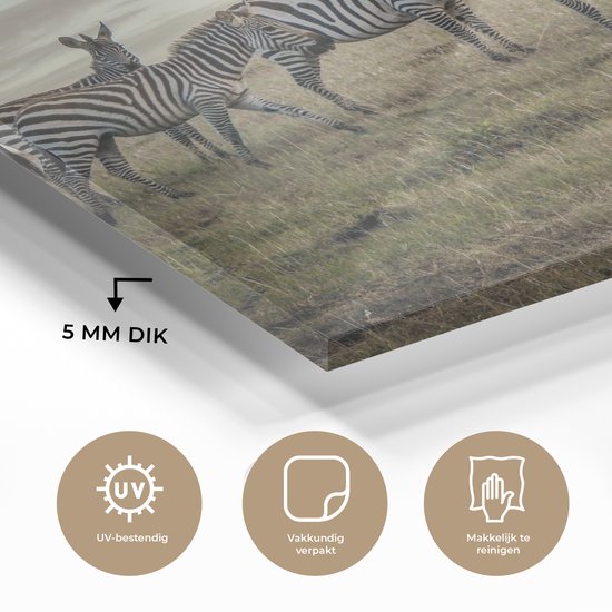 ® Glasschilderij 80x60 cm - Schilderij acrylglas - Zebra's in Kenia - Foto op glas - Muurdecoratie woonkamer - Wanddecoratie slaapkamer - Schilderijen