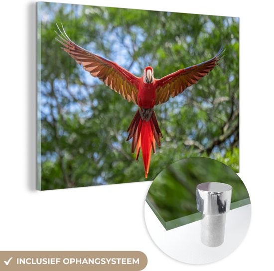 MuchoWow® Glasschilderij 120x80 cm - Schilderij acrylglas - Vliegende ara fotoprint - Foto op glas - Schilderijen