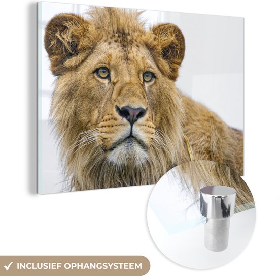 MuchoWow® Glasschilderij 180x120 cm - Schilderij acrylglas - Leeuw - Potret - Vacht - Foto op glas - Schilderijen