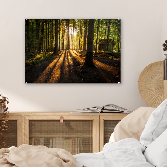 Peinture sur verre - Peinture sur verre intérieur - Forêt - Soleil - Nature - Paysage - Verre acrylique - Photo sur verre - Peinture sur verre - 60x40 cm - Décoration murale - Salon