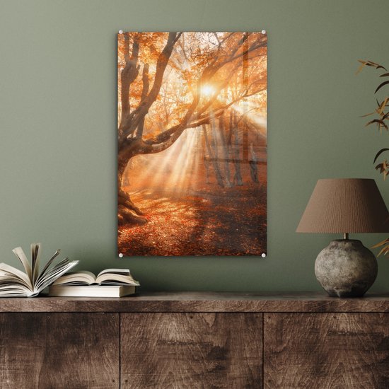 MuchoWow® Peinture sur verre - Arbre - Nature - Automne - 40x60 cm - Peintures sur verre acrylique - Photo sur Glas