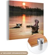 MuchoWow® Glasschilderij 50x50 cm - Schilderij acrylglas - Zon - Water - Nijlpaard - Foto op glas - Schilderijen